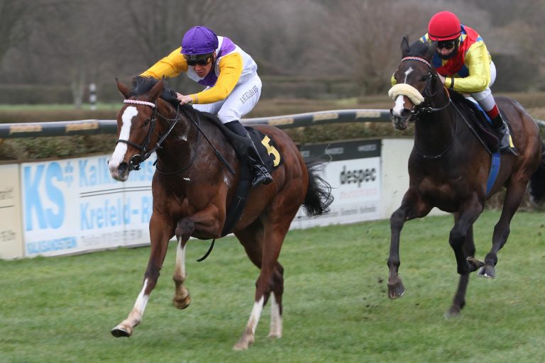 Dibujaba (li.) setzt sich durch 