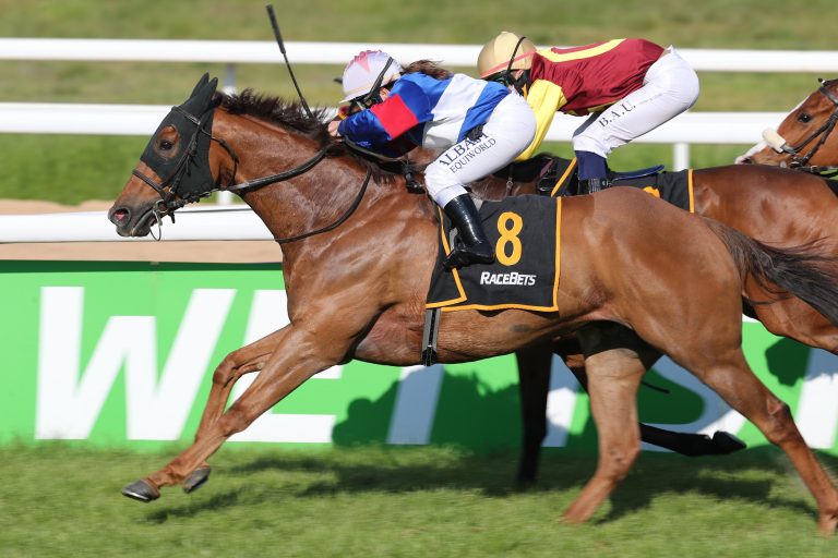 Dieu Rapide siegt in Köln