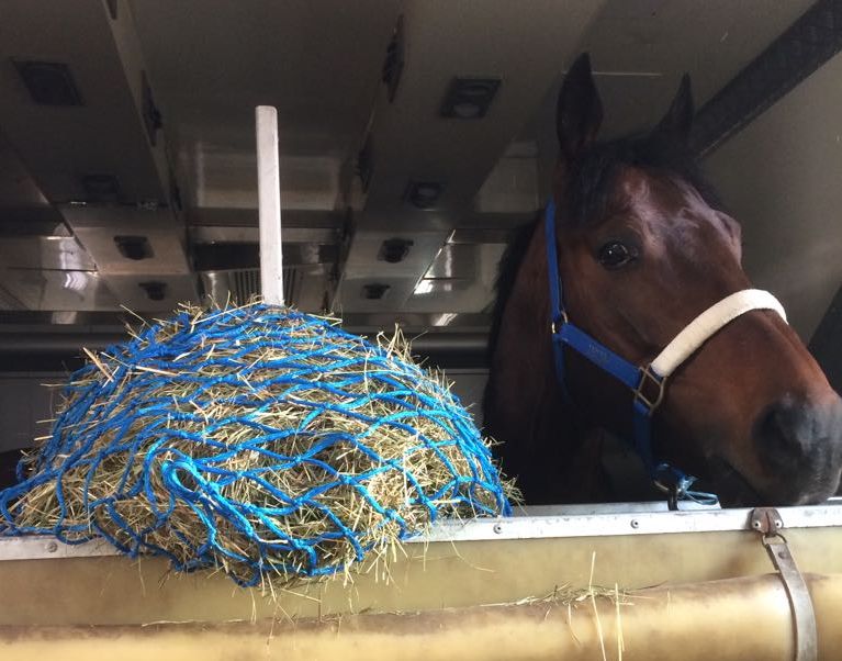 Deutsche Katar-Hoffnungen in Doha gelandet