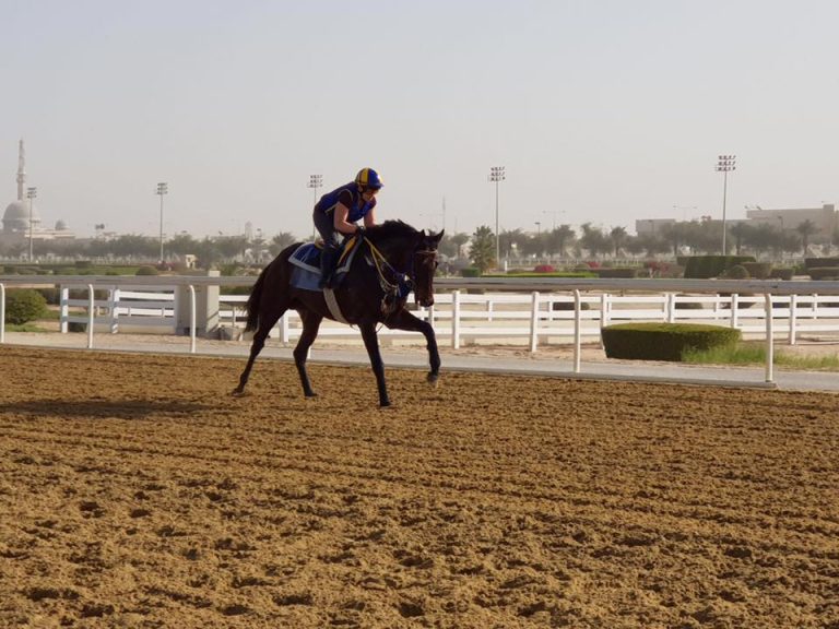 Hofer: „Diplomat sollte im Endkampf dabei sein“