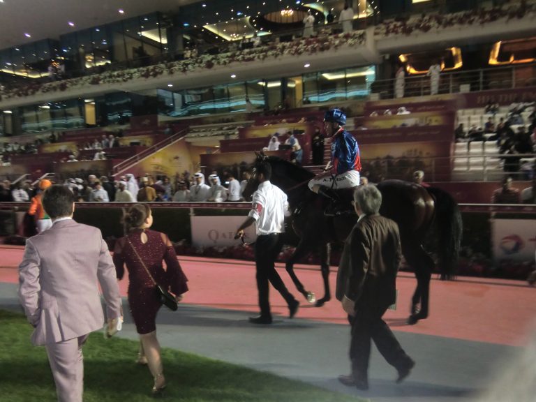 Diplomat starker Dritter, Pleaseletmewin siegt im Foto