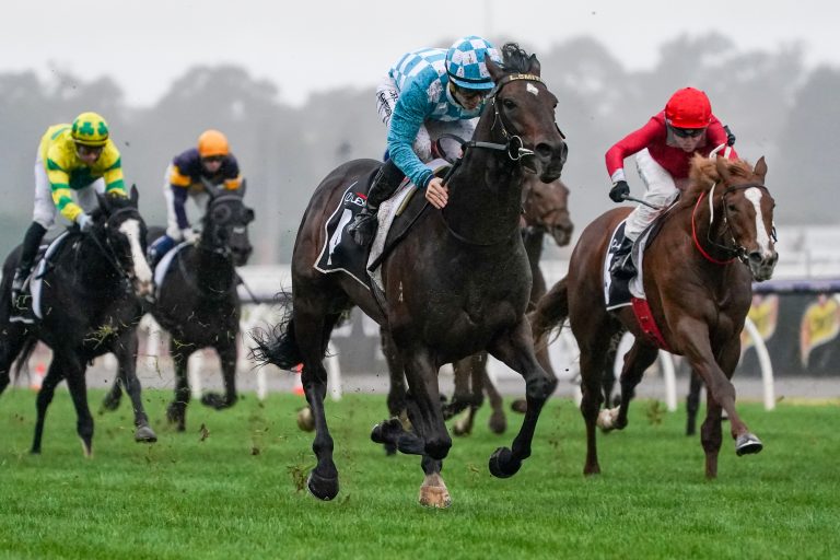 Django Freeman gibt sein Comeback