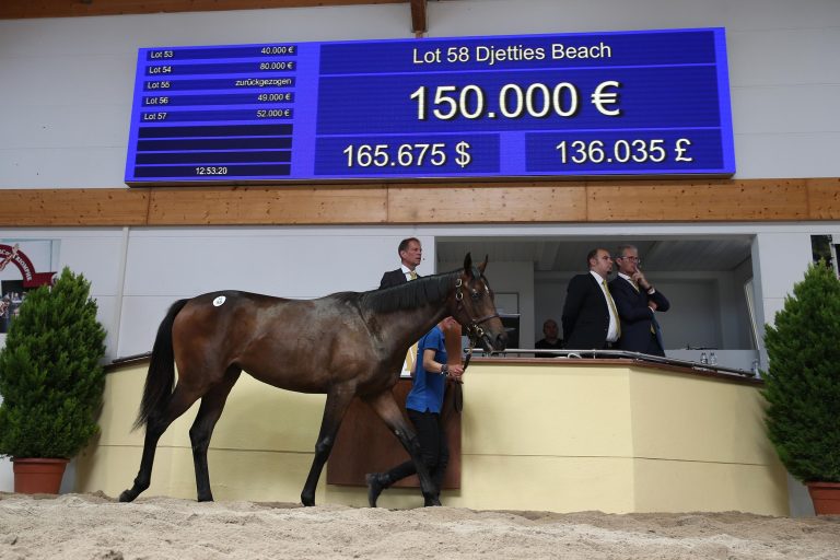 Durance-Schwester Djetties Beach top in Hamburg