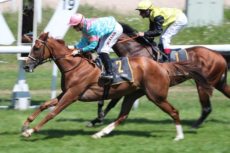 Djukon ringt Favorit Calico nieder