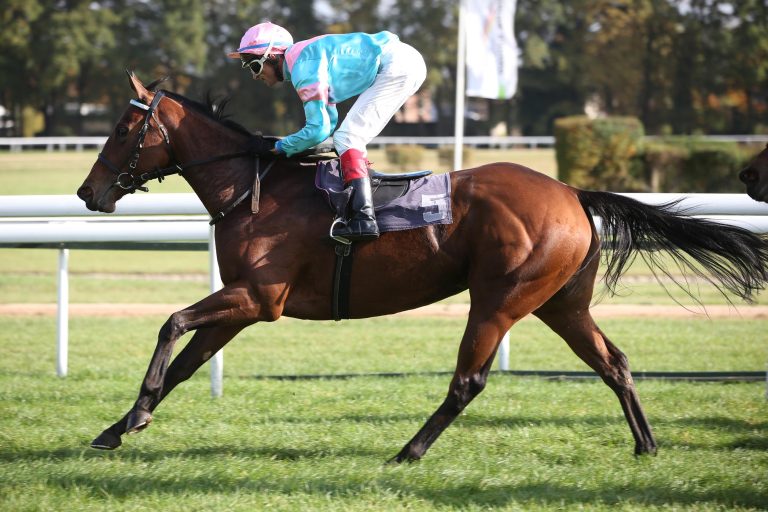 Noch zwölf im Schwarzgold-Rennen