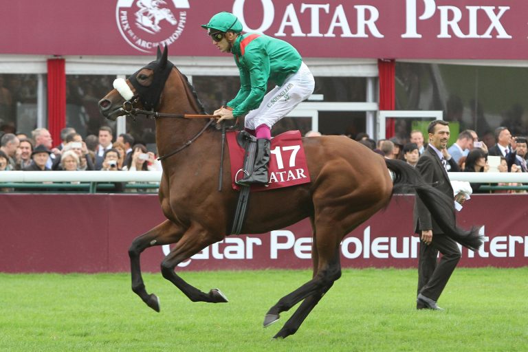 Dolniya gewinnt Aufgalopp gegen Flintshire