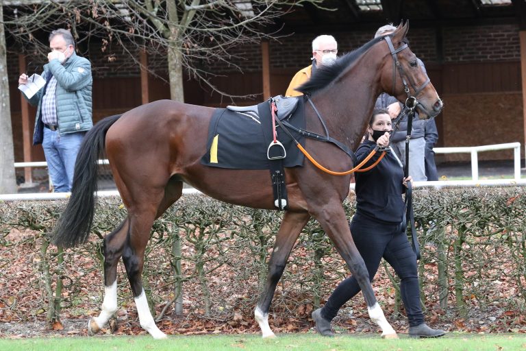 Don Chi mit Entwicklungspause