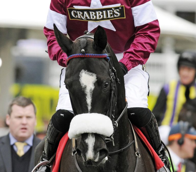 Ideale Bedingungen in Kempton mit vielen Stars