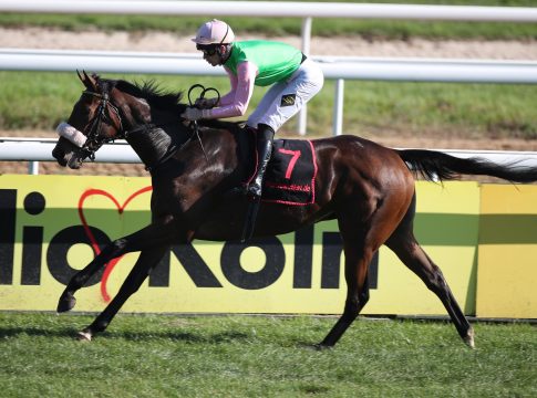 Donjah wohl nach Indien - Dhara bei 180k zurückgekauft Donjah