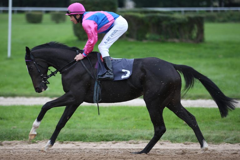 Der Schwarzgold-Traum mit Double Dream