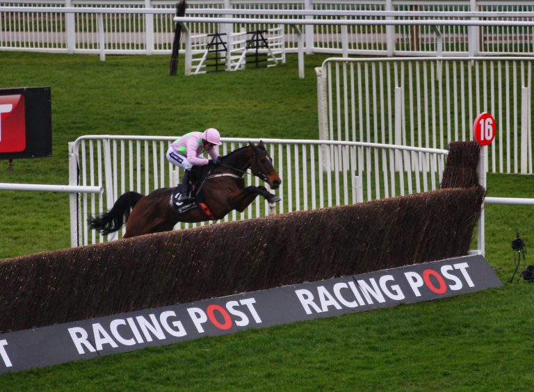 „Monster“ Douvan überlegen in der „Arkle“