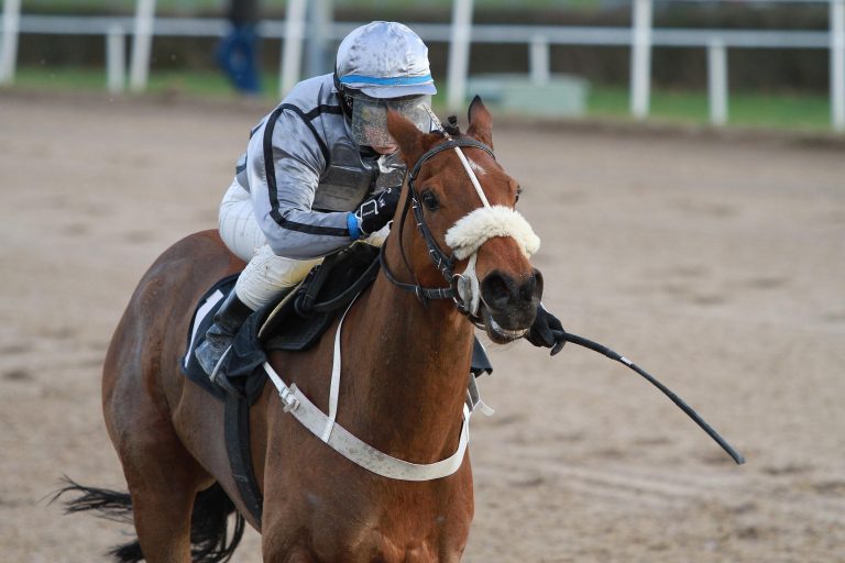 Dortmund eröffnet am Samstag die Galoppsaison