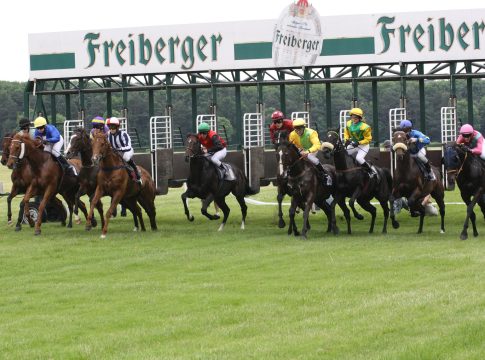 dresden_1