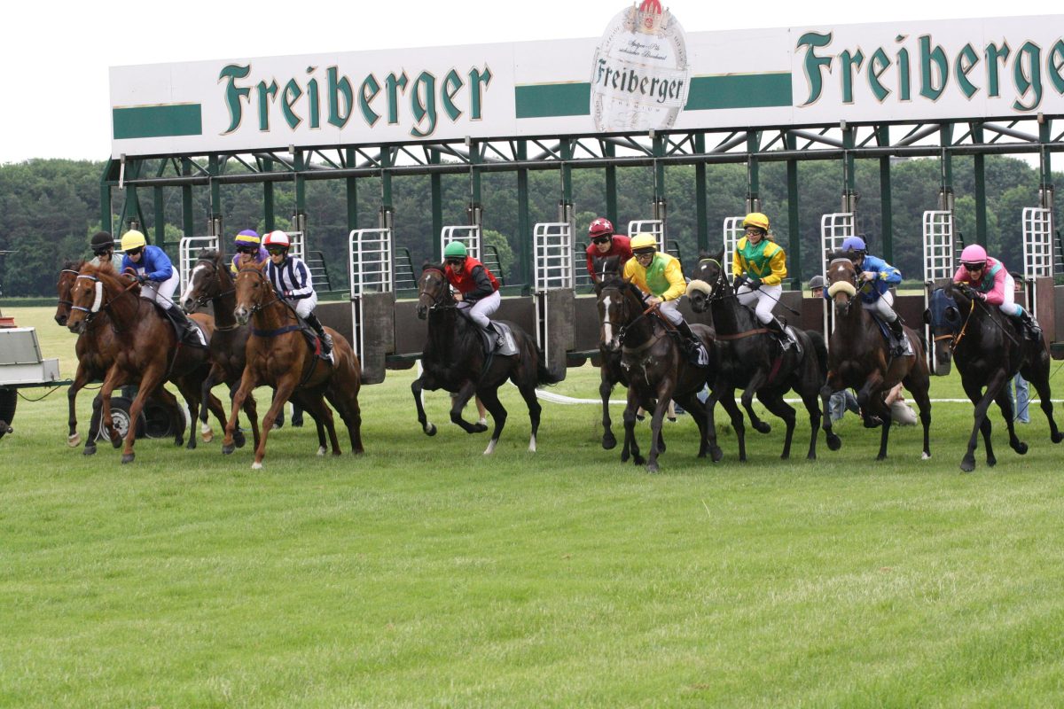 Successful Saturday Race Day in Dresden with Turnover of 173,617 Euros