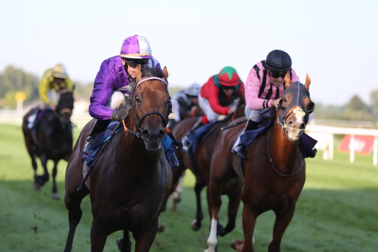 Drummer bestimmt eindeutig den Takt im Auktionsrennen