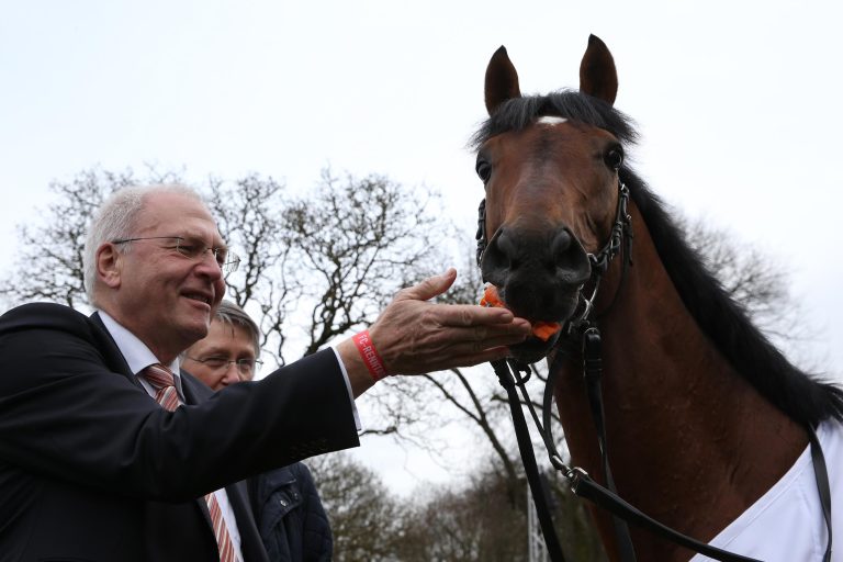 Die Hall of Fame: Alle Galopper des Jahres