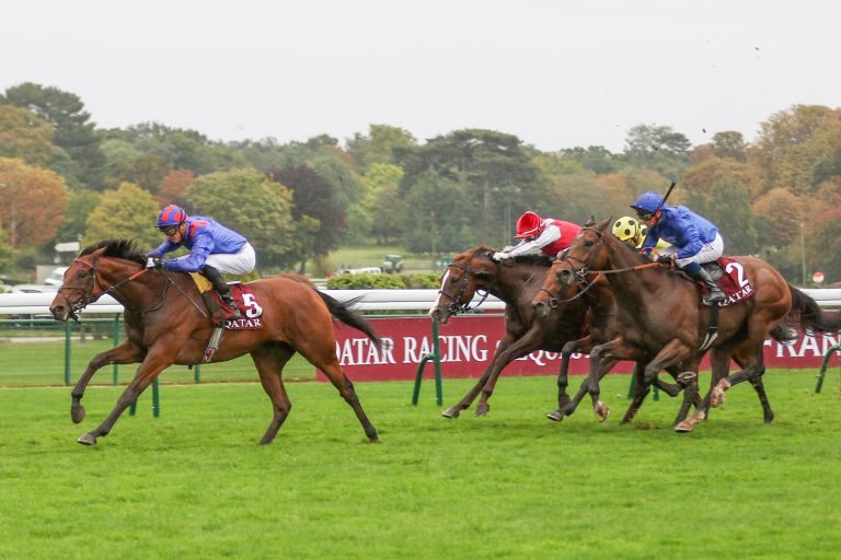 Dubai Honour gewinnt den Dollar, Schütz-Pferd Dritter