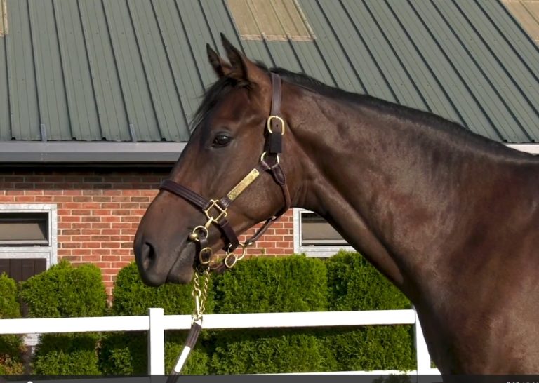 Dubawi aus der Danedream Foto: Screenshot