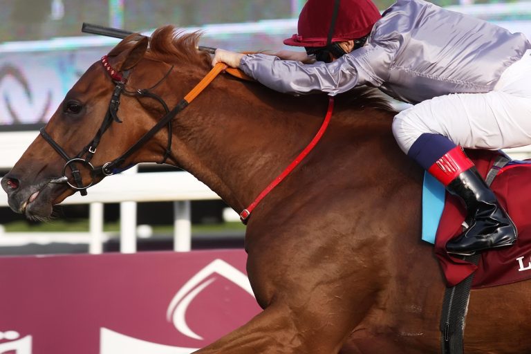 Katar-Star Dubday siegt in der „Al Thani Trophy“