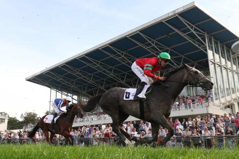 Sport-Welt TV Wett-Check – Referenzrennen für Düsseldorf heute