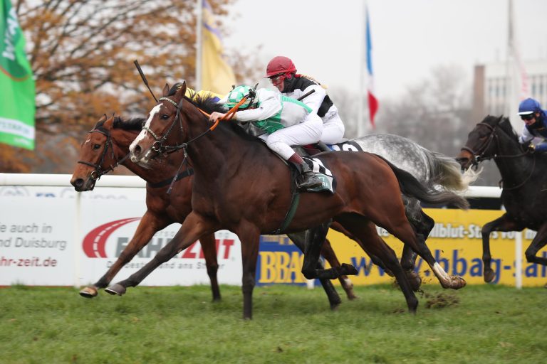 Duke of Lips ist des Wetträtsels-Lösung