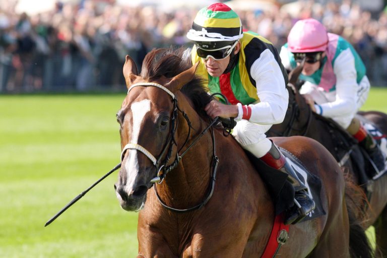 Durban Thunder deckt wieder in Deutschland