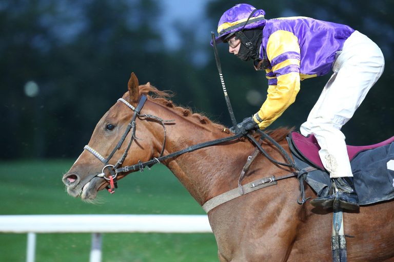 The Paco Kid macht’s kinderleicht