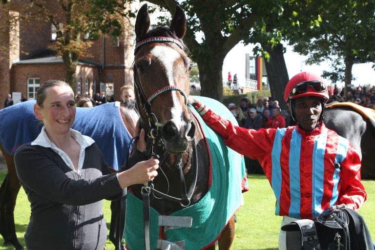 Dynamic Kitty nicht mehr bei Wöhler