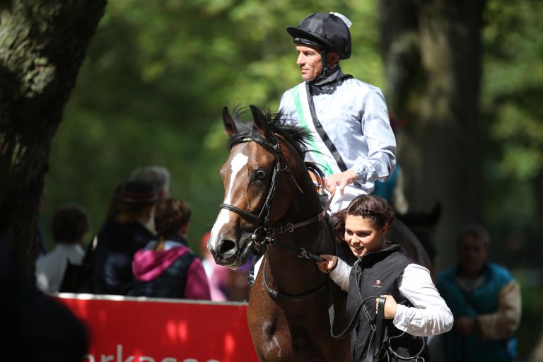 Jetzt noch Sieben im Busch-Memorial