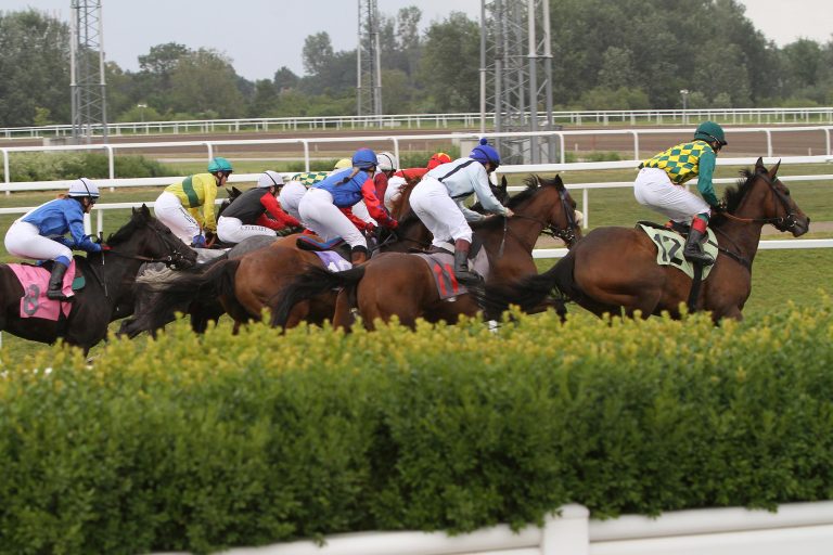 Ebreichsdorf: 8 Renntage, dreimal die Galopper dabei