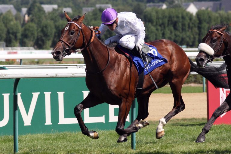 Al Shaqab Racing kauft 50 Prozent an Hurricane Run-Sohn Ectot