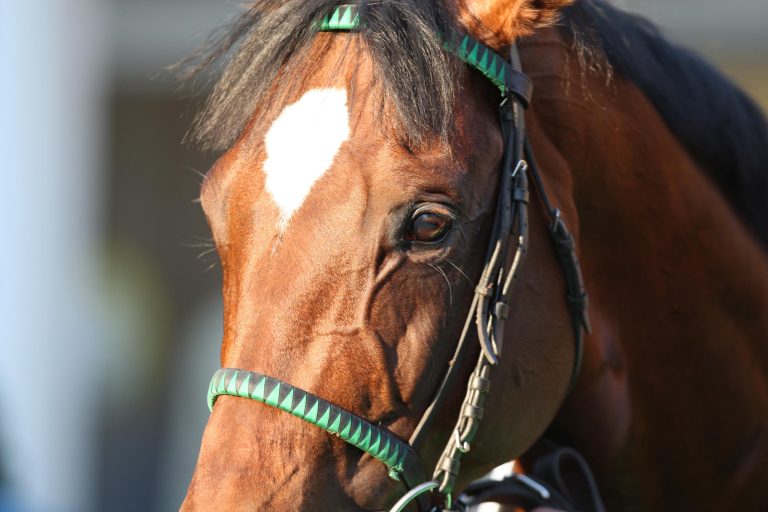 Vierfacher Gruppesieger Egerton abgetreten