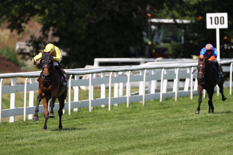 El Commandante 600. Flachsieger für Sprengel