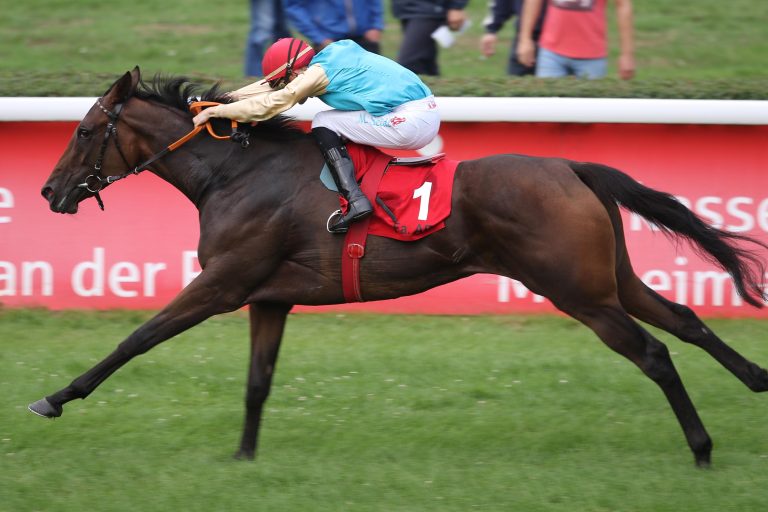 Zweimal Klug und ein überlegener Nadelwald