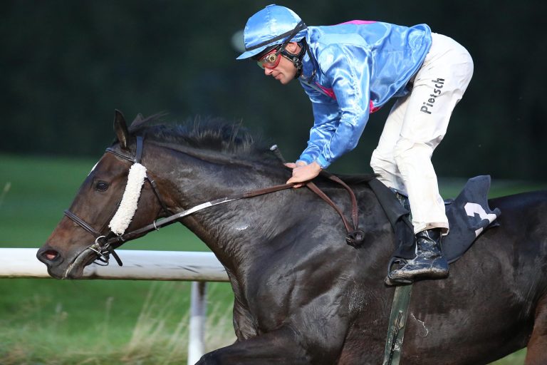 Tag der Handicaps in Dortmund