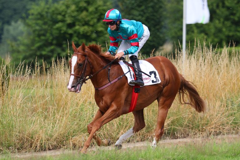 Zwei deutsche Siege in Le Lion d’Angers