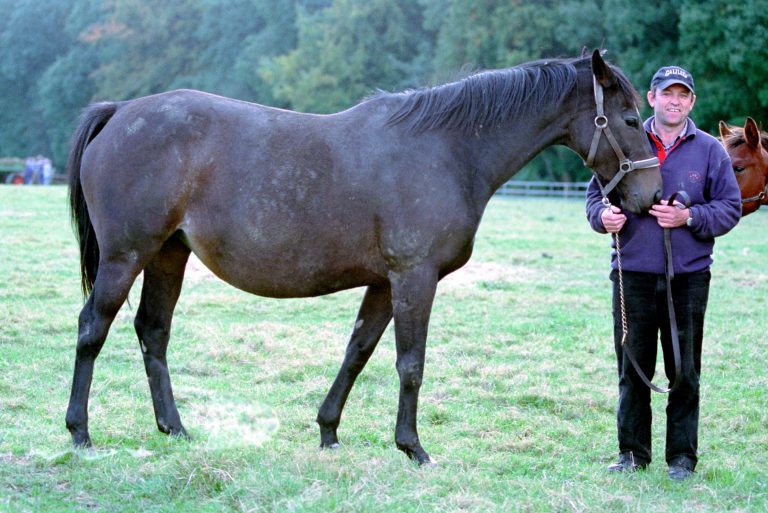 Elle Danzig-Enkel siegt für Godolphin