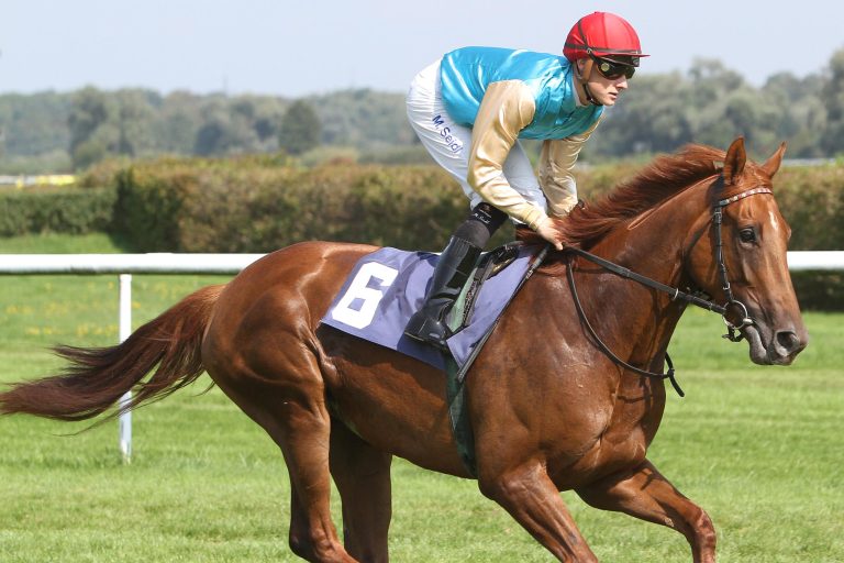 Internationaler Sachsen-Preis in Dresden