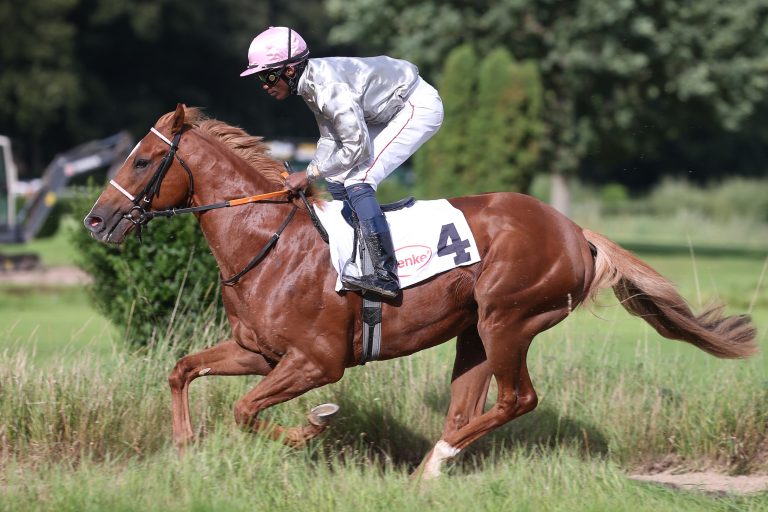 Emerald Master muss aufgegeben werden