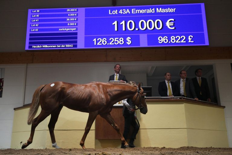 Emerald Master: So könnte es weitergehen