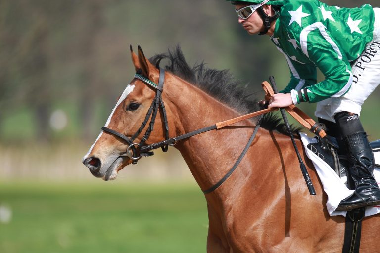 Gruppe III-Siegerin Emerald Star geht in die USA