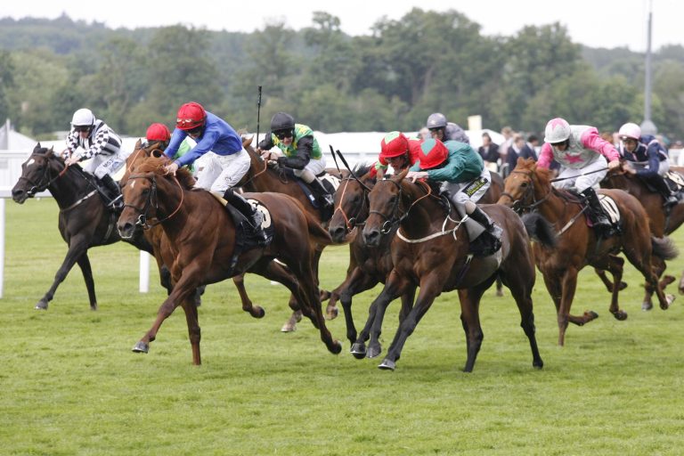 Musselburgh Rennen 7: Sitzt die Mega-Schiebe?