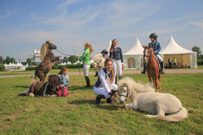 eoa-2016-pressekonferenz-9