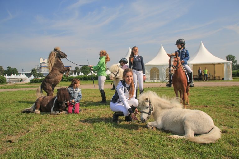 Equitana Open Air im Mai auf der Neusser Bahn