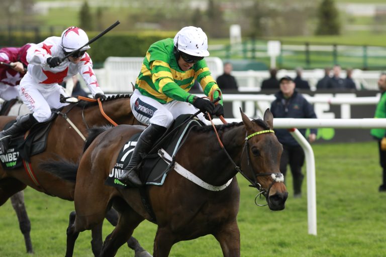 Große Boxing Day-Siege für Nicholls und Henderson