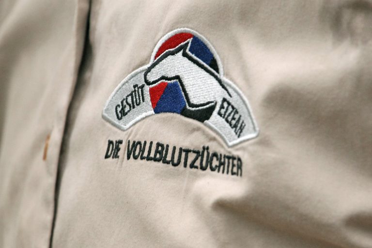 Etzeaner War Lord mit Cheltenham-Chance