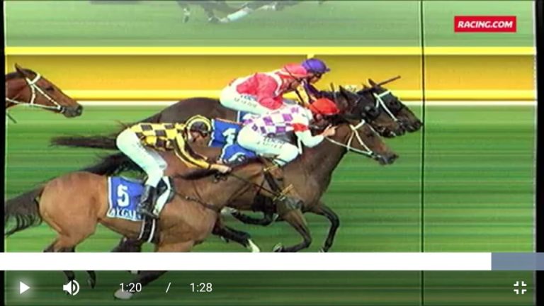 Martin Seidl: Angekommen und fast schon gewonnen