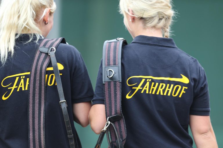 Fährhofer Quinault: Drei Mal Auktion und am Ende der ganz große Wurf