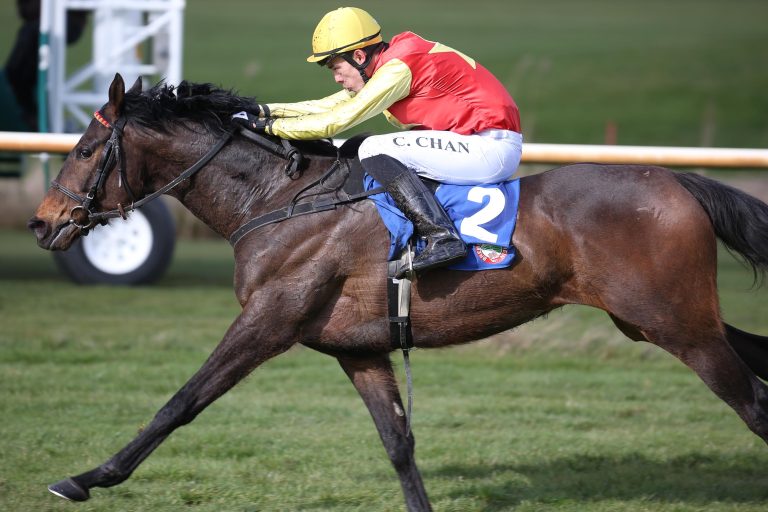 Falconettei verkauft sich im Meraner Hürdenrennen teuer