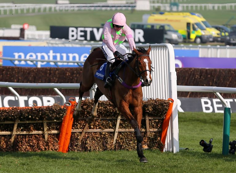 Christmas Hurdle – Favoritin gewinnt doch Irland leidet